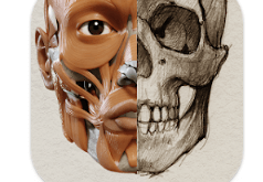 Download 3D Anatomy for the Artist MOD APK